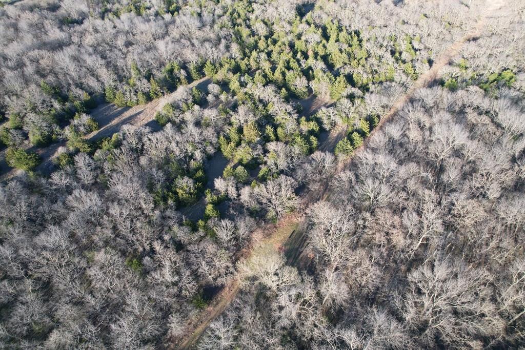 0 Hogback Road Property Photo 29