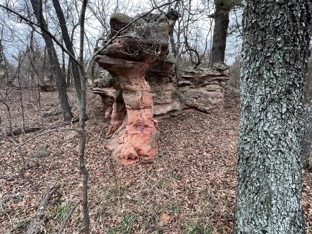 0 Hogback Road Property Photo 37