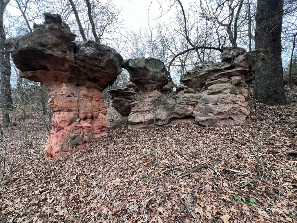 0 Hogback Road Property Photo 38