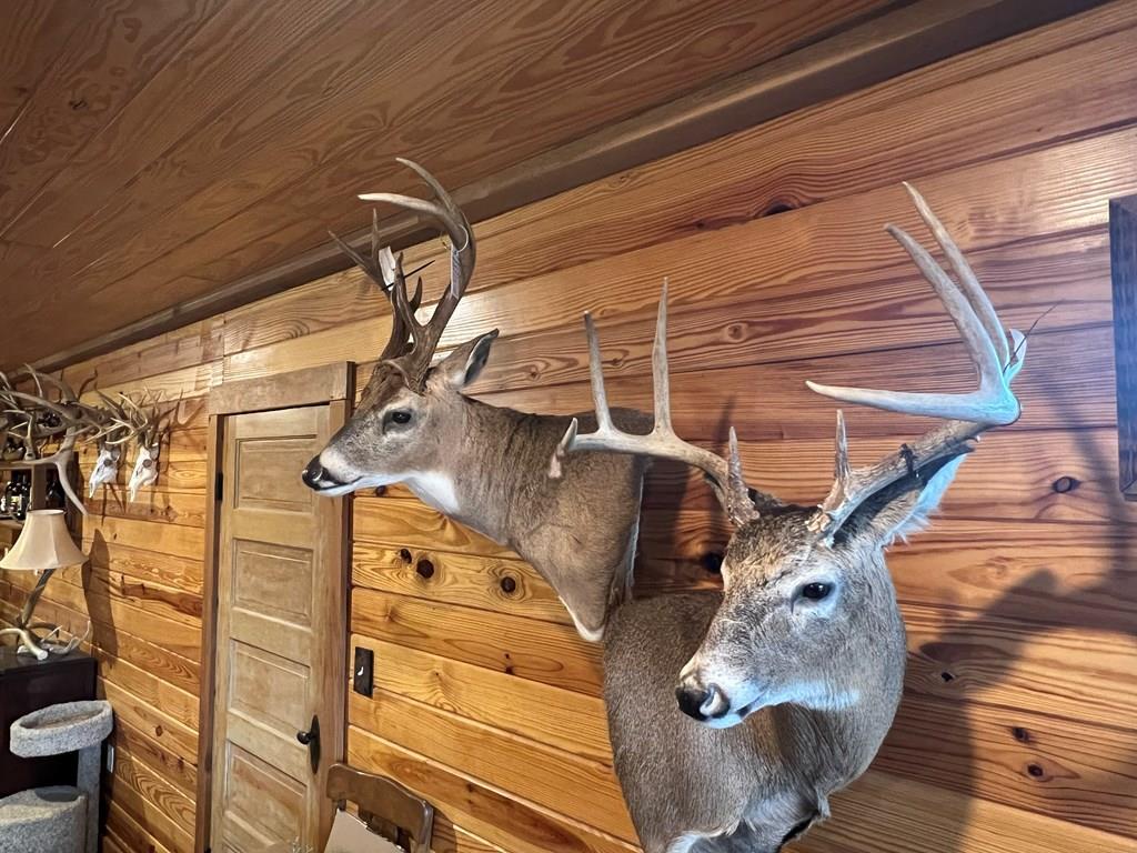 0 Hogback Road Property Photo 39