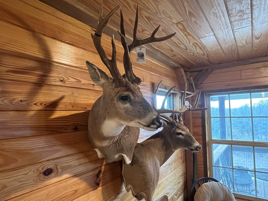 0 Hogback Road Property Photo 40