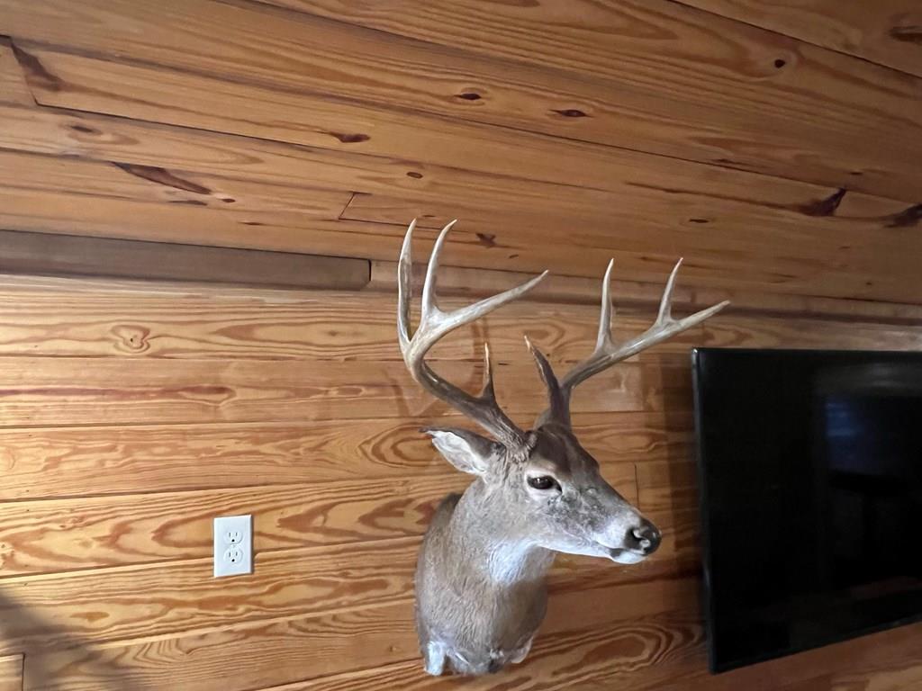 0 Hogback Road Property Photo 41