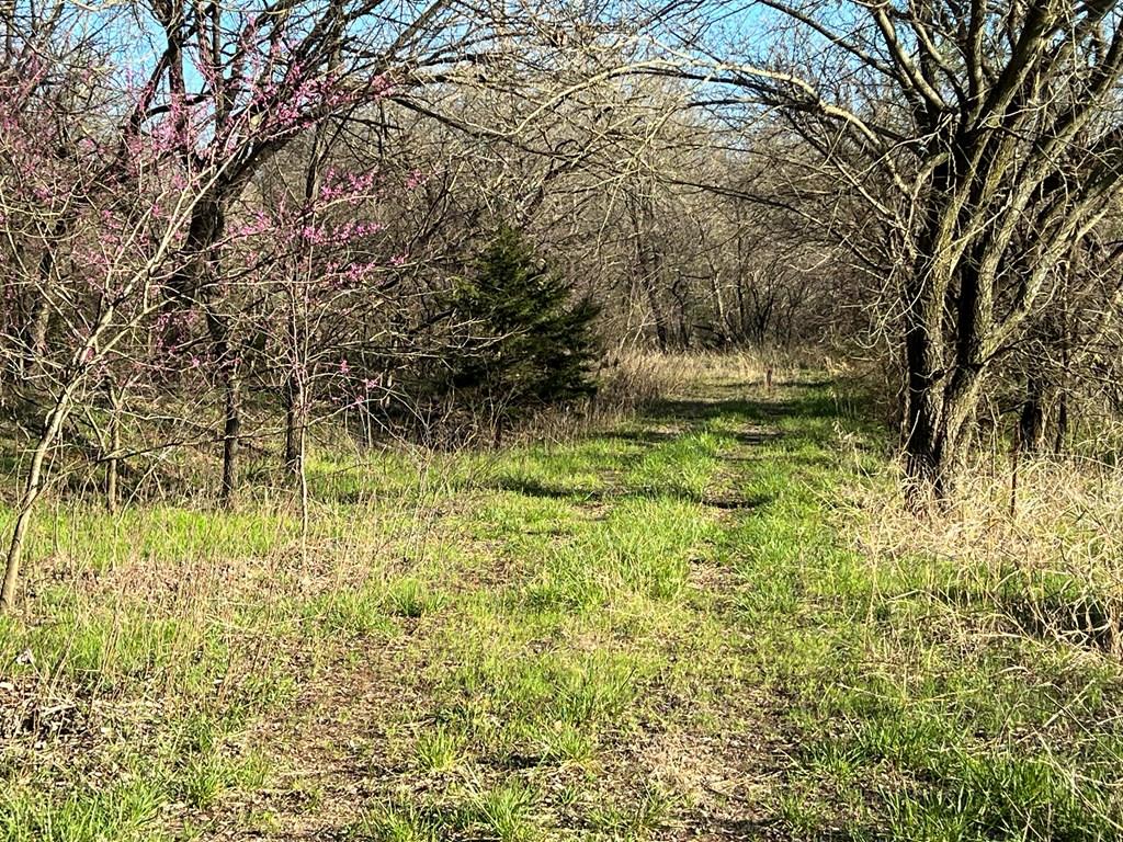 0 Hogback Road Property Photo 44