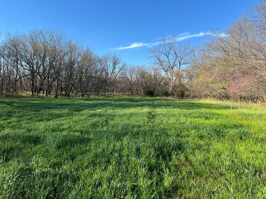 0 Hogback Road Property Photo 45