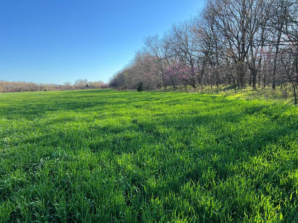 0 Hogback Road Property Photo 46