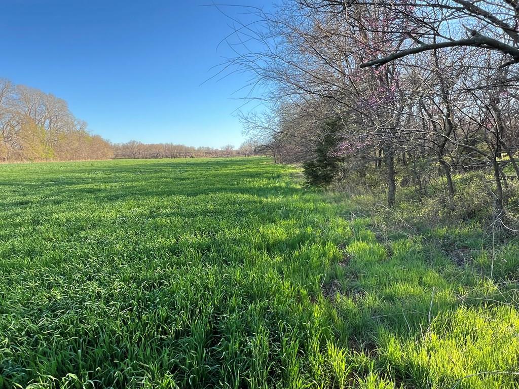0 Hogback Road Property Photo 50