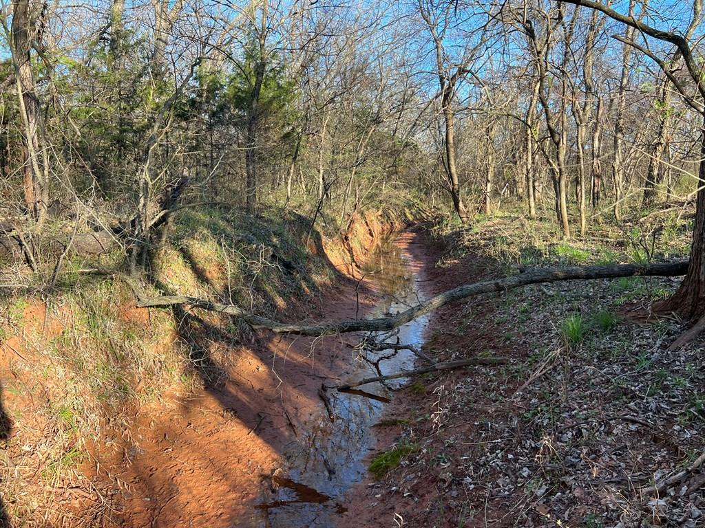 0 Hogback Road Property Photo 53