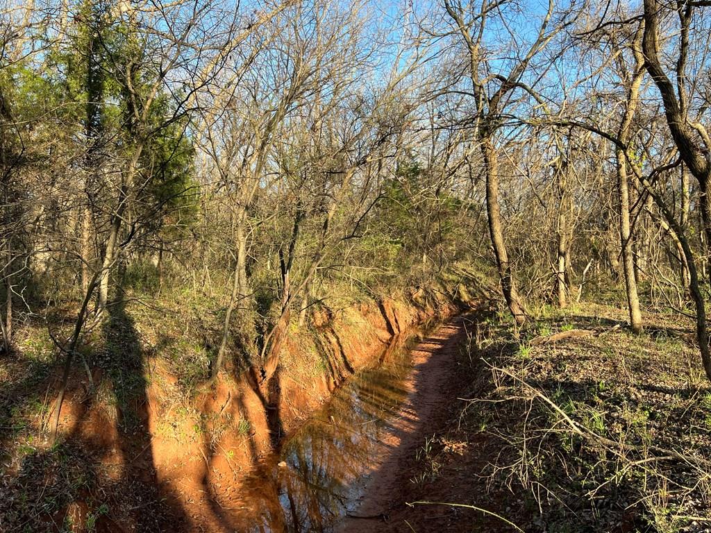 0 Hogback Road Property Photo 54