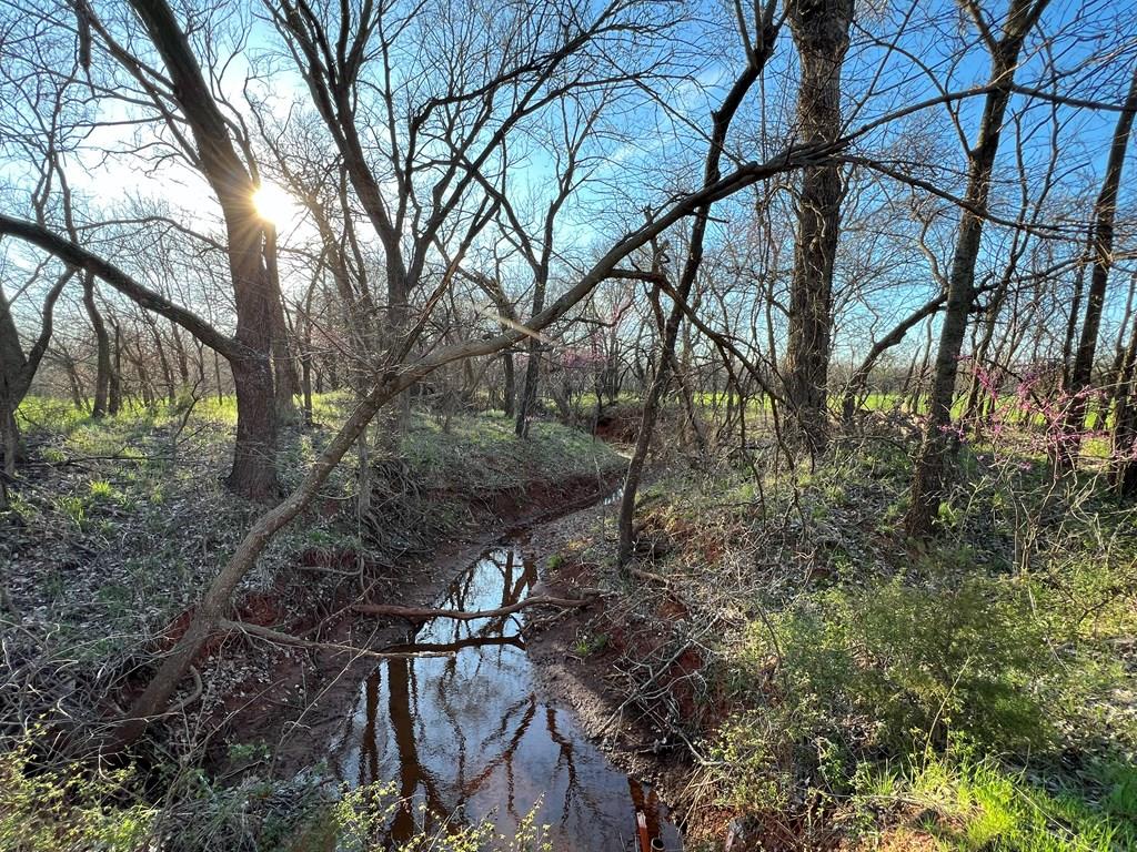 0 Hogback Road Property Photo 55