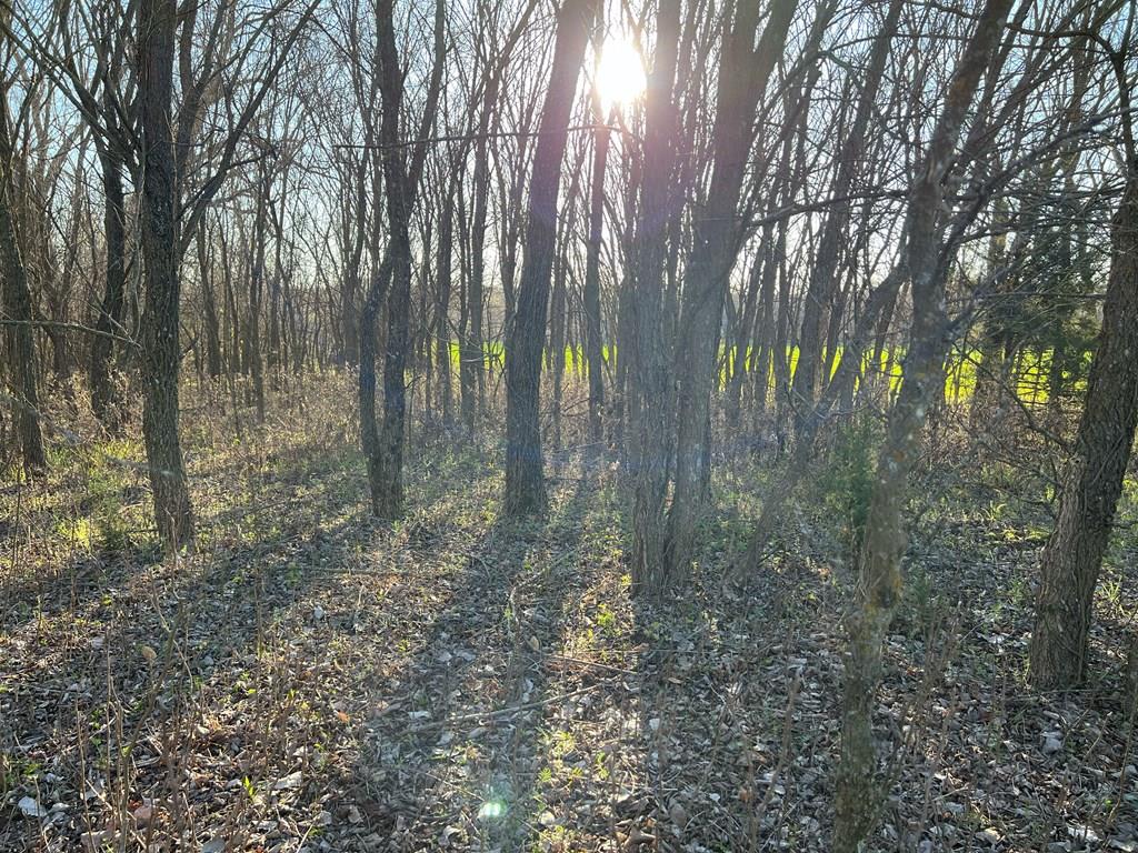 0 Hogback Road Property Photo 59