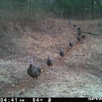 0 Hogback Road Property Photo 62