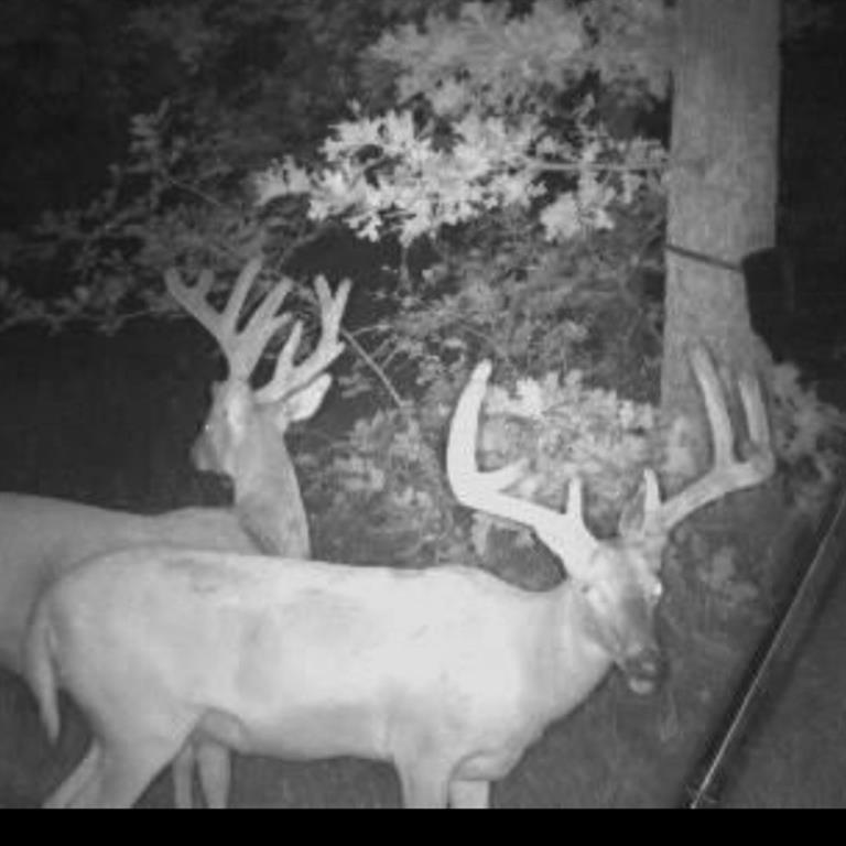 0 Hogback Road Property Photo 64