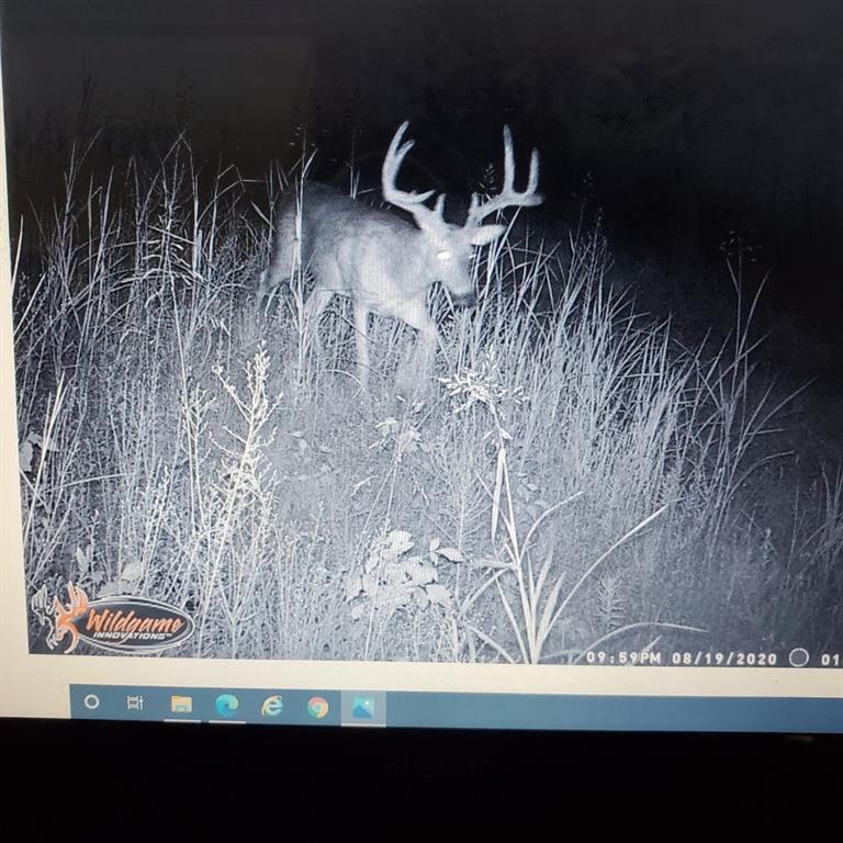 0 Hogback Road Property Photo 65