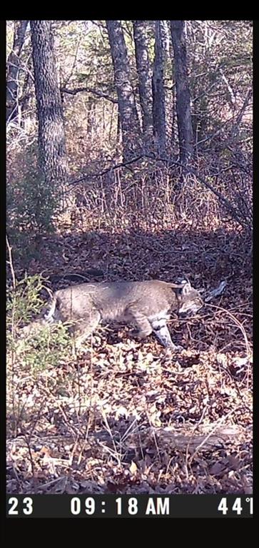 0 Hogback Road Property Photo 70