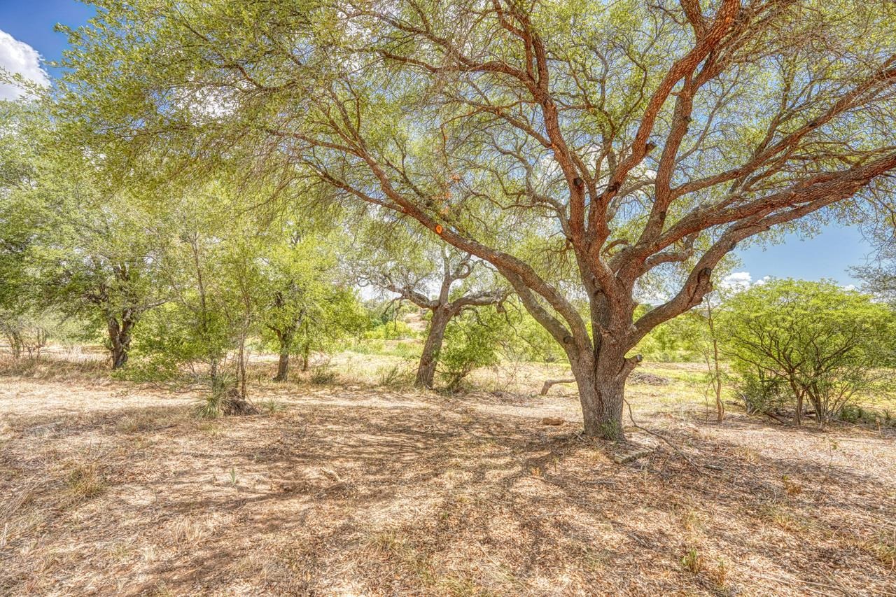 148 Lakeshore Drive Property Photo 18