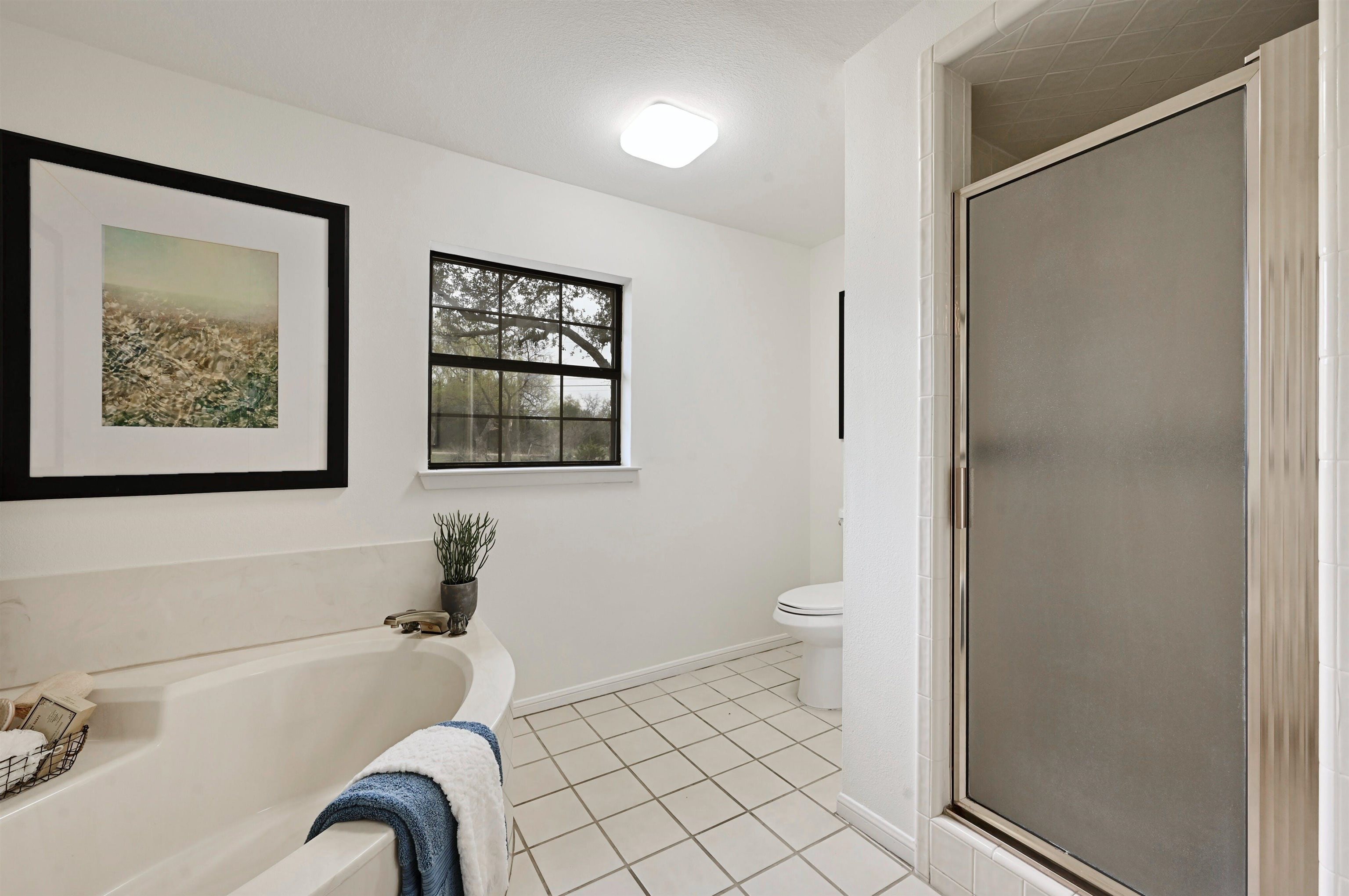 234 S Chaparral Property Photo 17