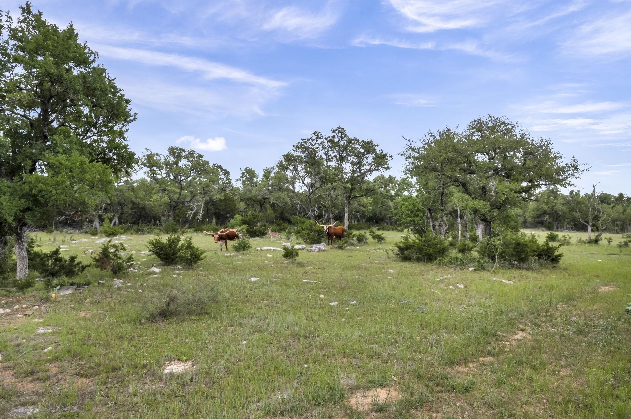 851 Twisted Oak Property Photo 29