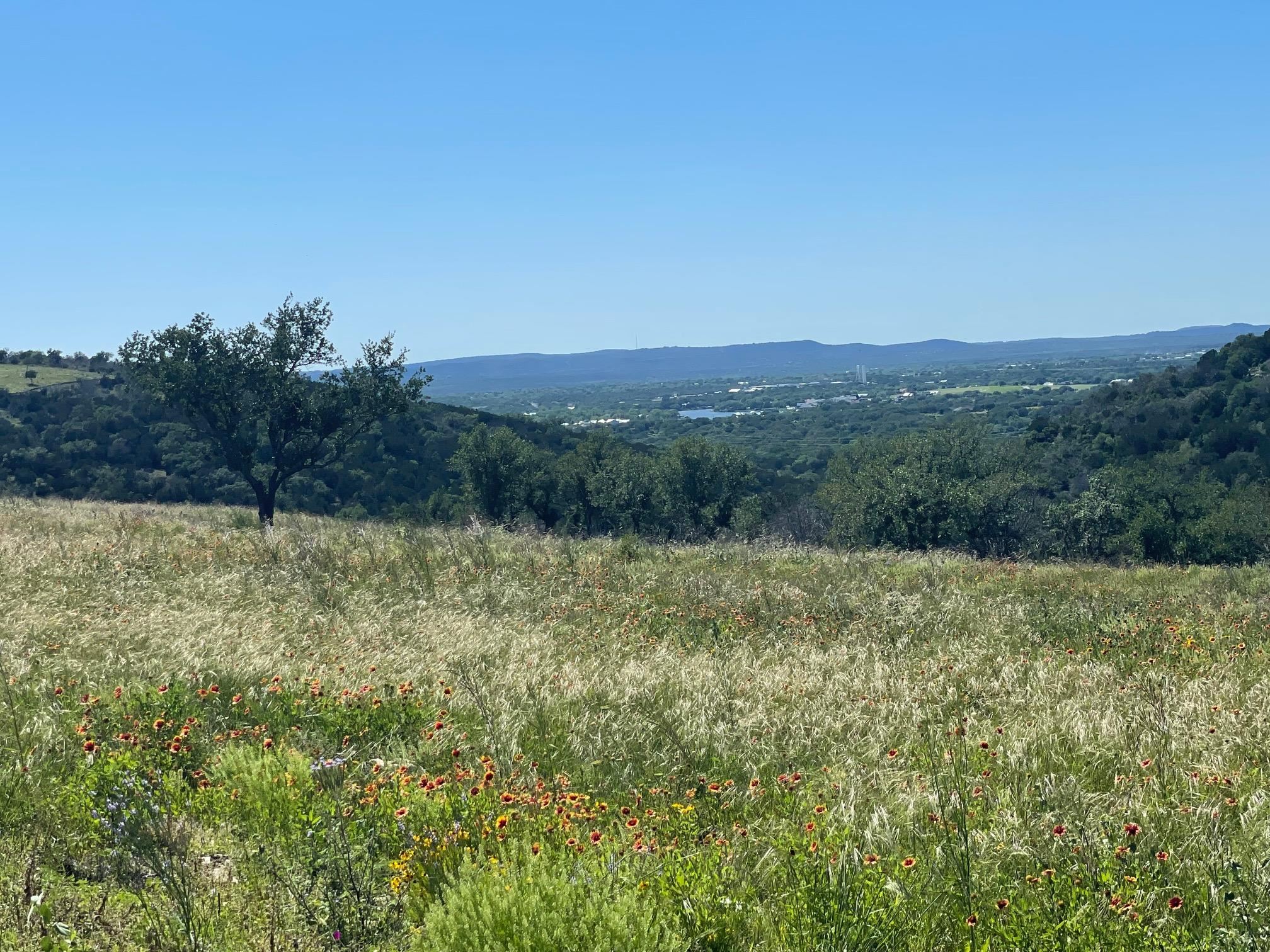115 Falling Waters (3.95 Acres) Property Photo 2