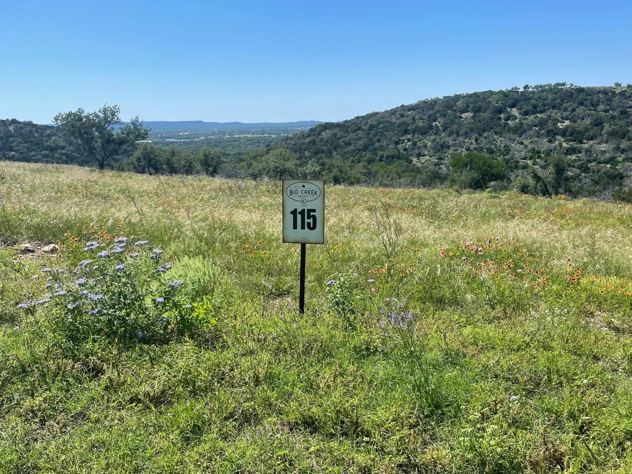115 Falling Waters (3.95 Acres) Property Photo 3