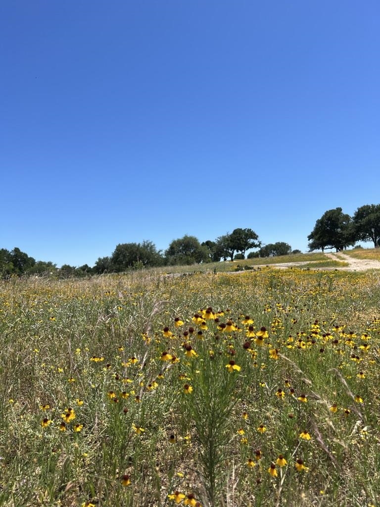 Escondido L 224 La Serena Loop Property Photo 4