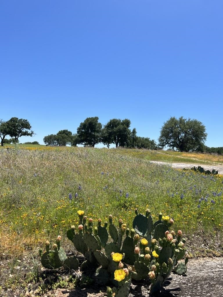 Escondido L 224 La Serena Loop Property Photo 5