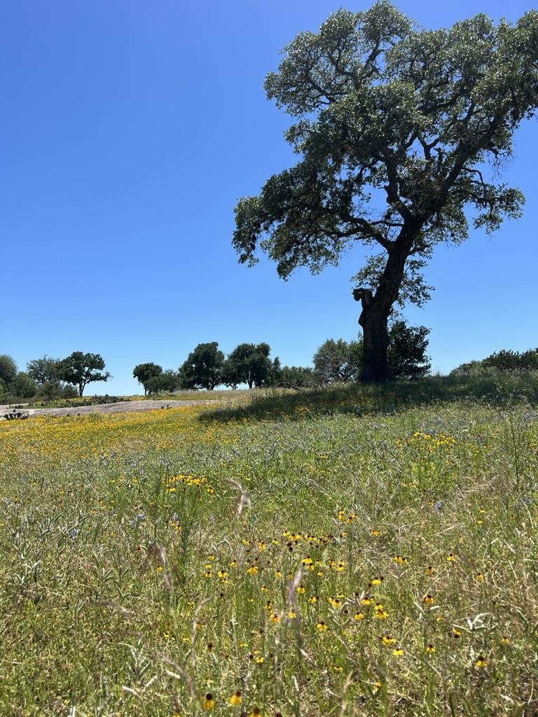 Escondido L 224 La Serena Loop Property Photo 8