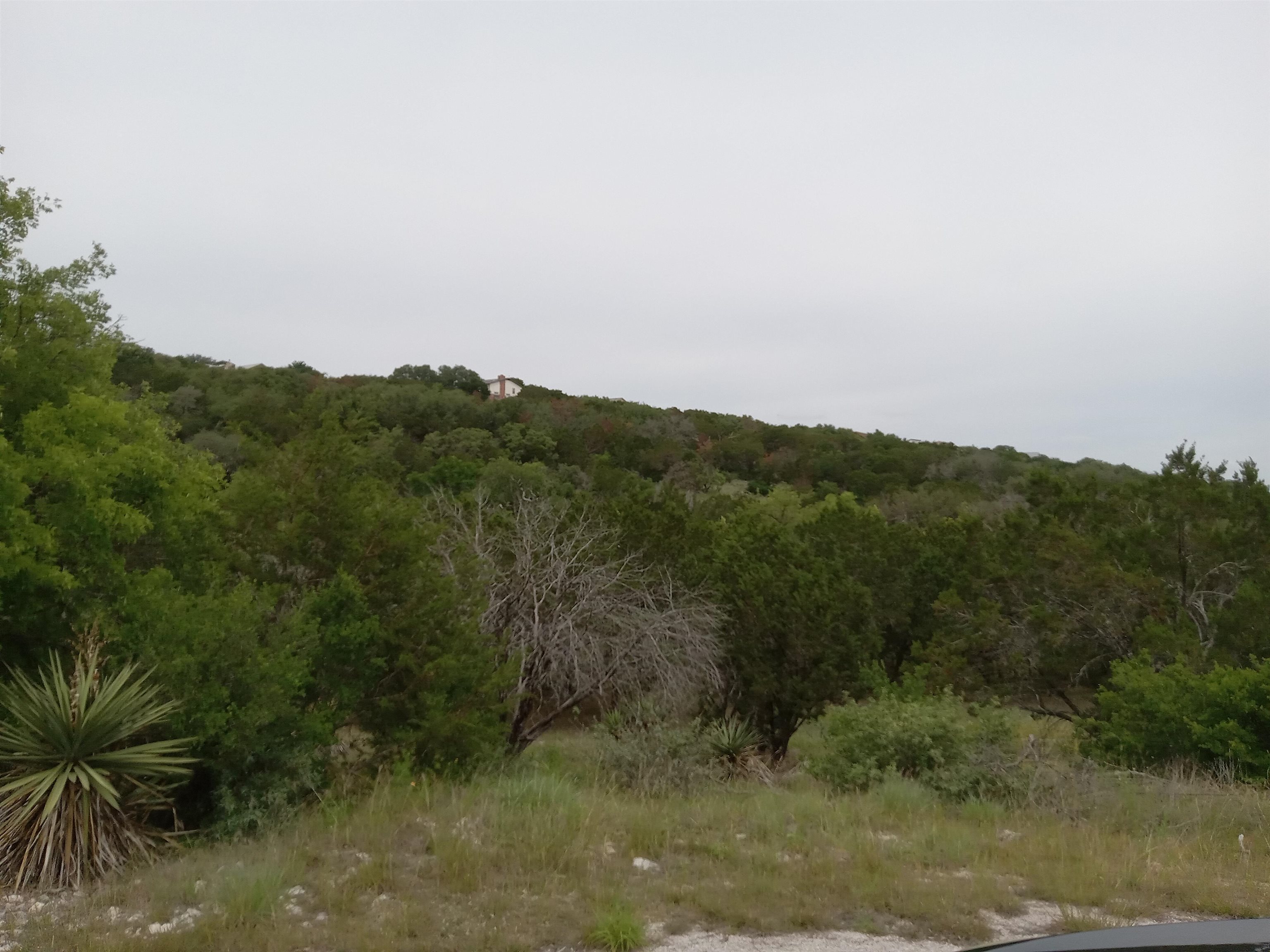 501 Silver Mane Property Photo 1
