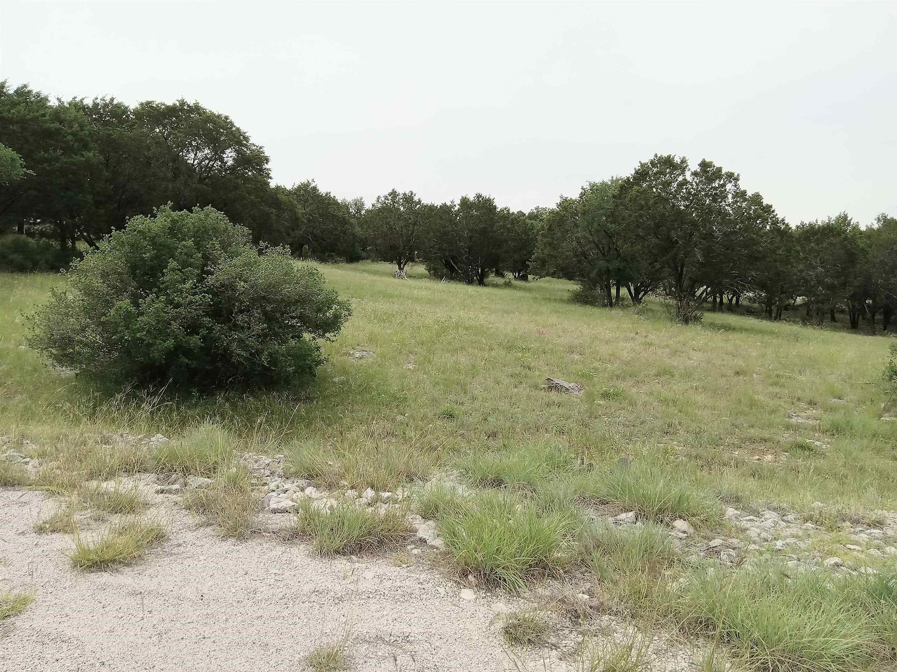 501 Silver Mane Property Photo 2