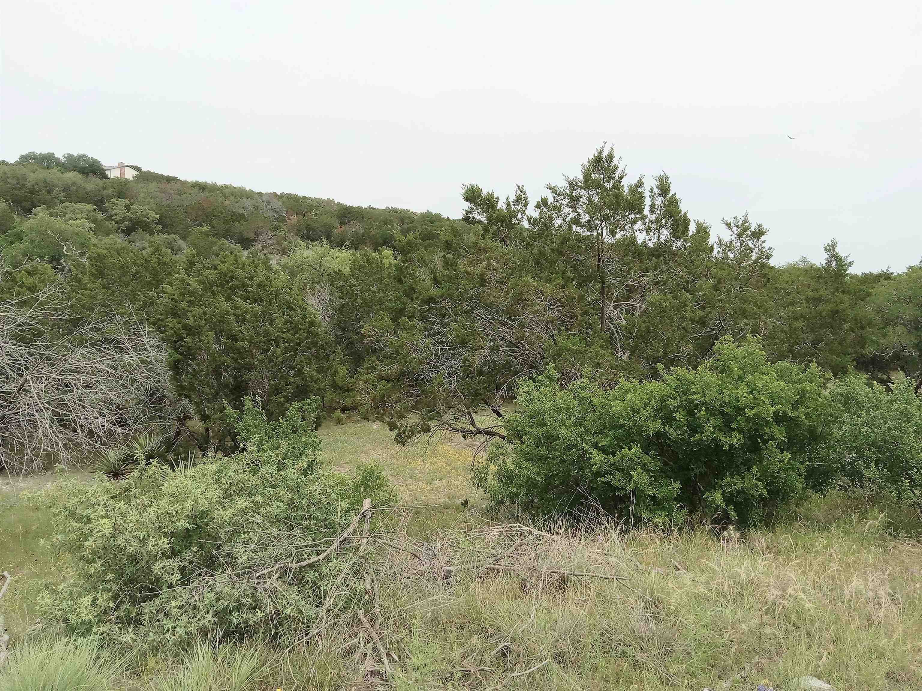 501 Silver Mane Property Photo 3