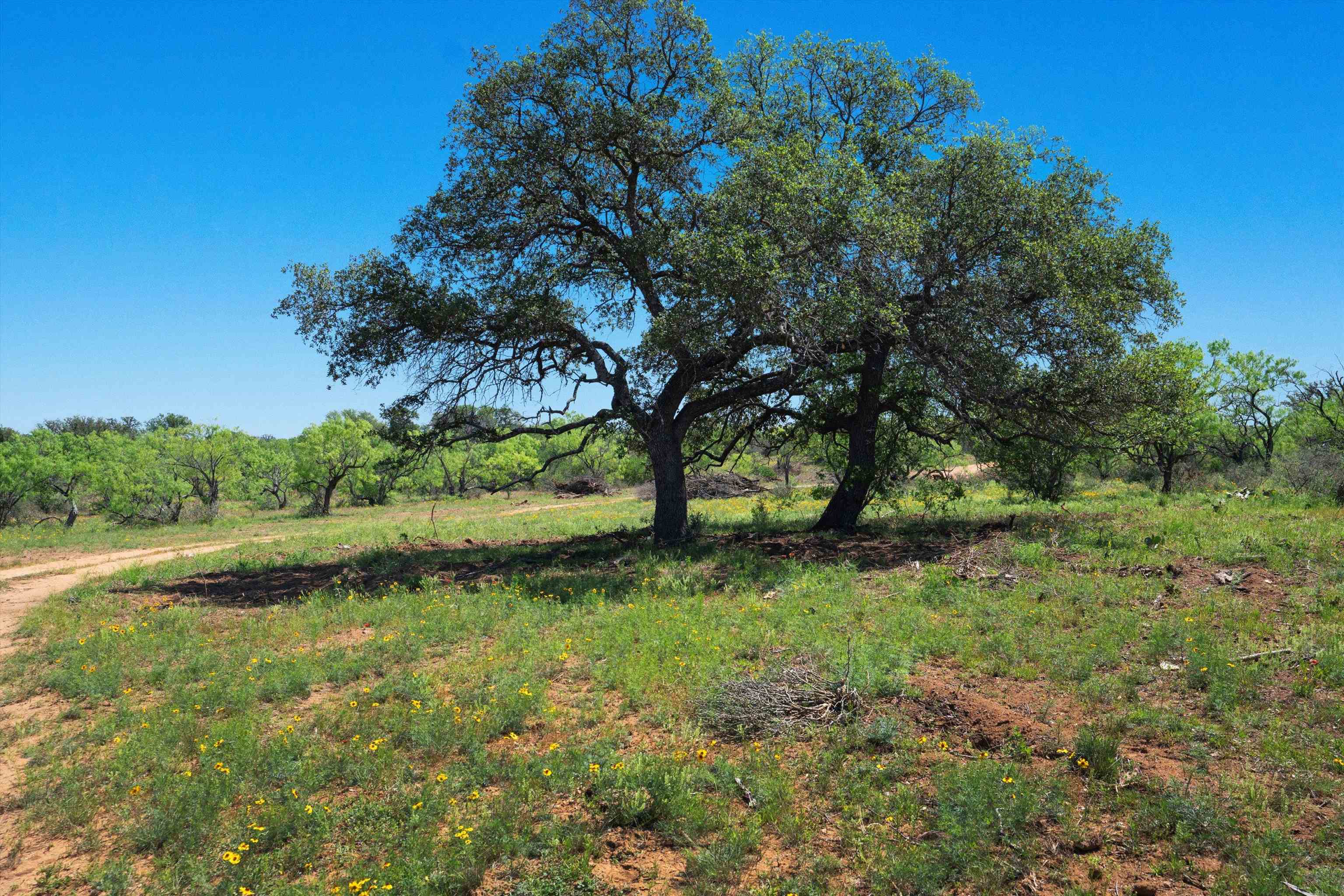 Tbd County Road 106 Property Photo 8