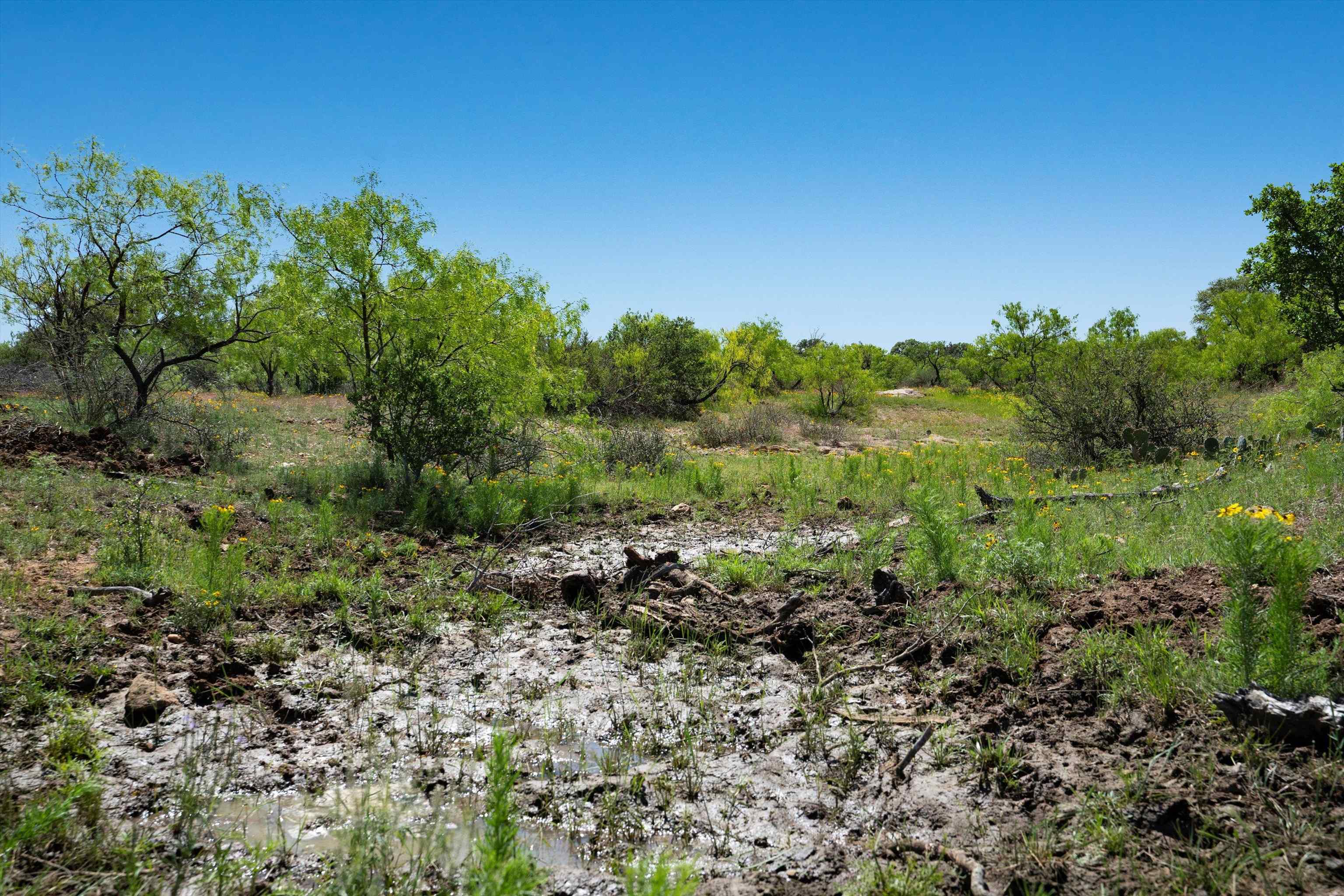 Tbd County Road 106 Property Photo 9
