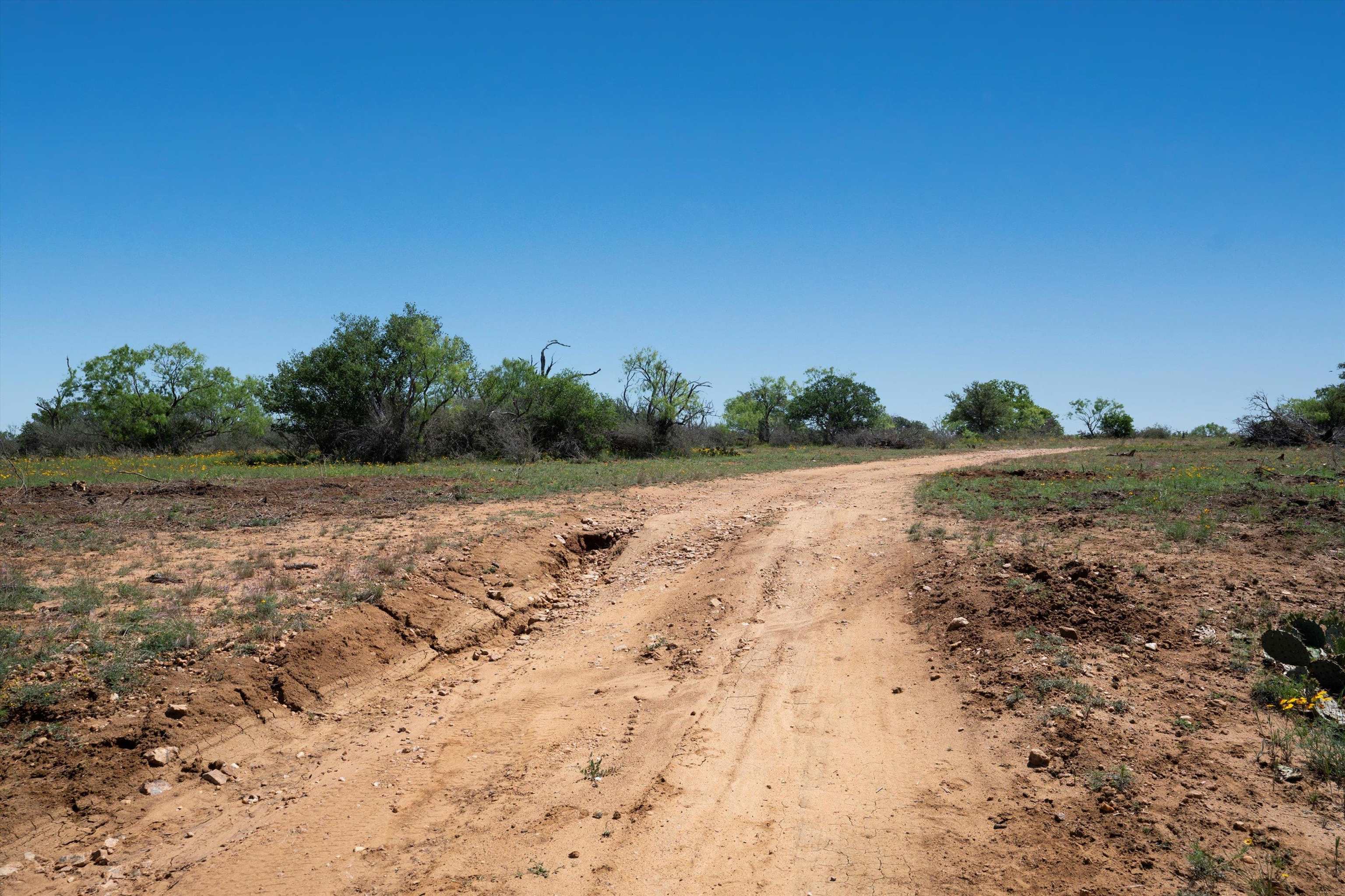 Tbd County Road 106 Property Photo 10