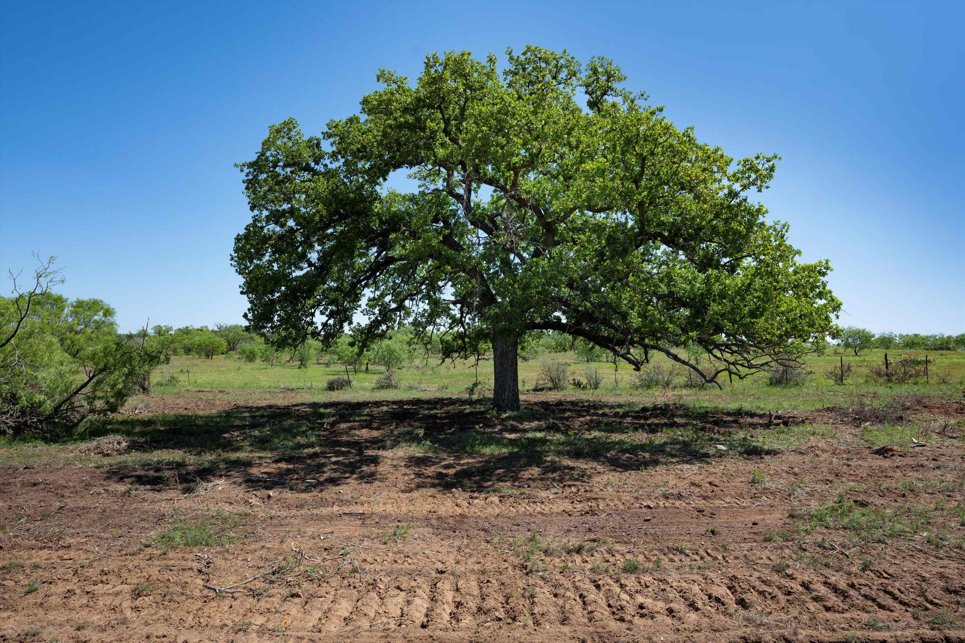 Tbd County Road 106 Property Photo 11