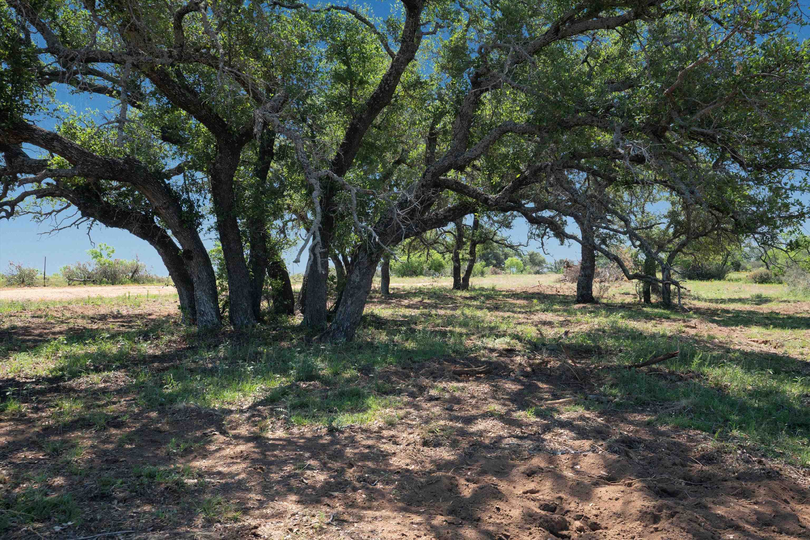 Tbd County Road 106 Property Photo 13