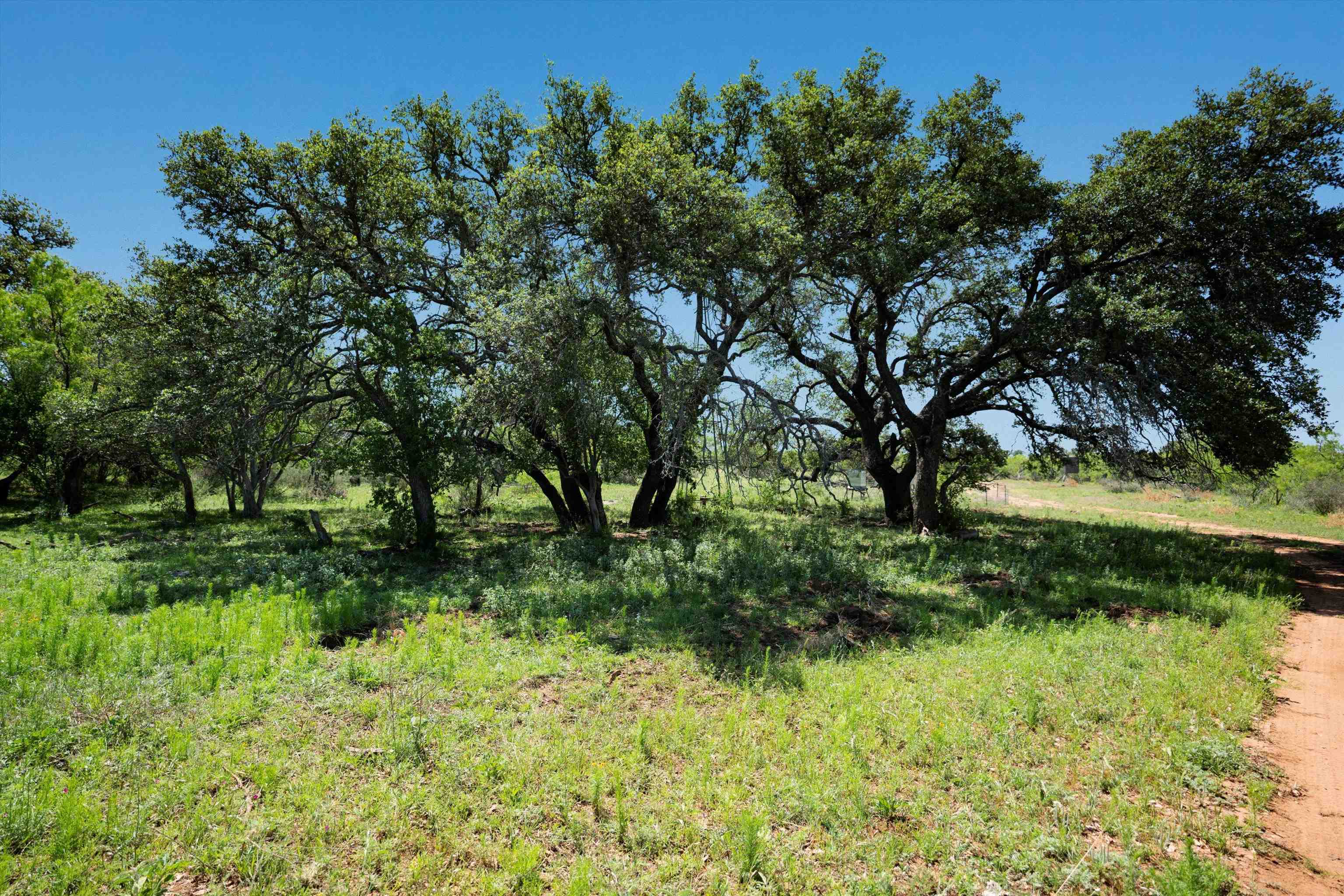 Tbd County Road 106 Property Photo 17