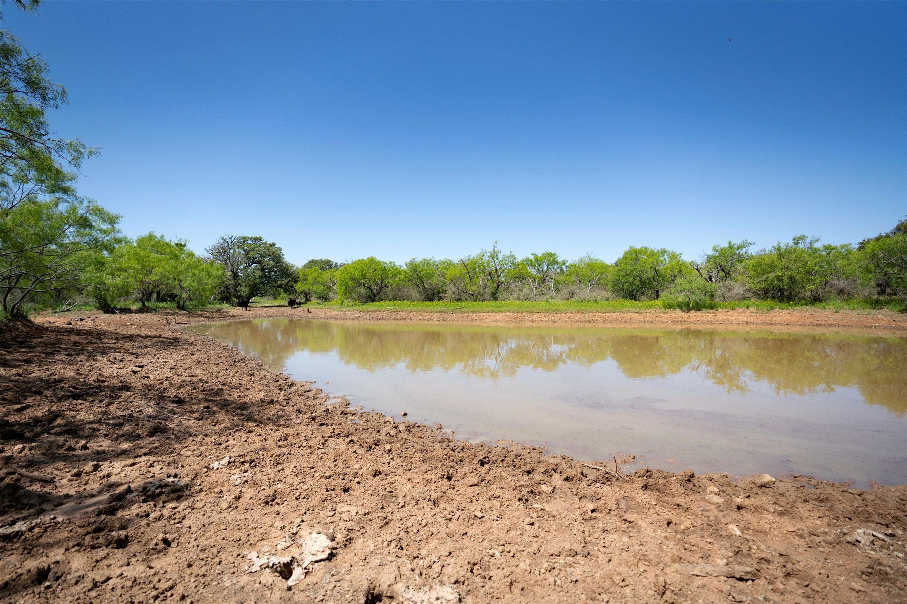 Tbd County Road 106 Property Photo 20