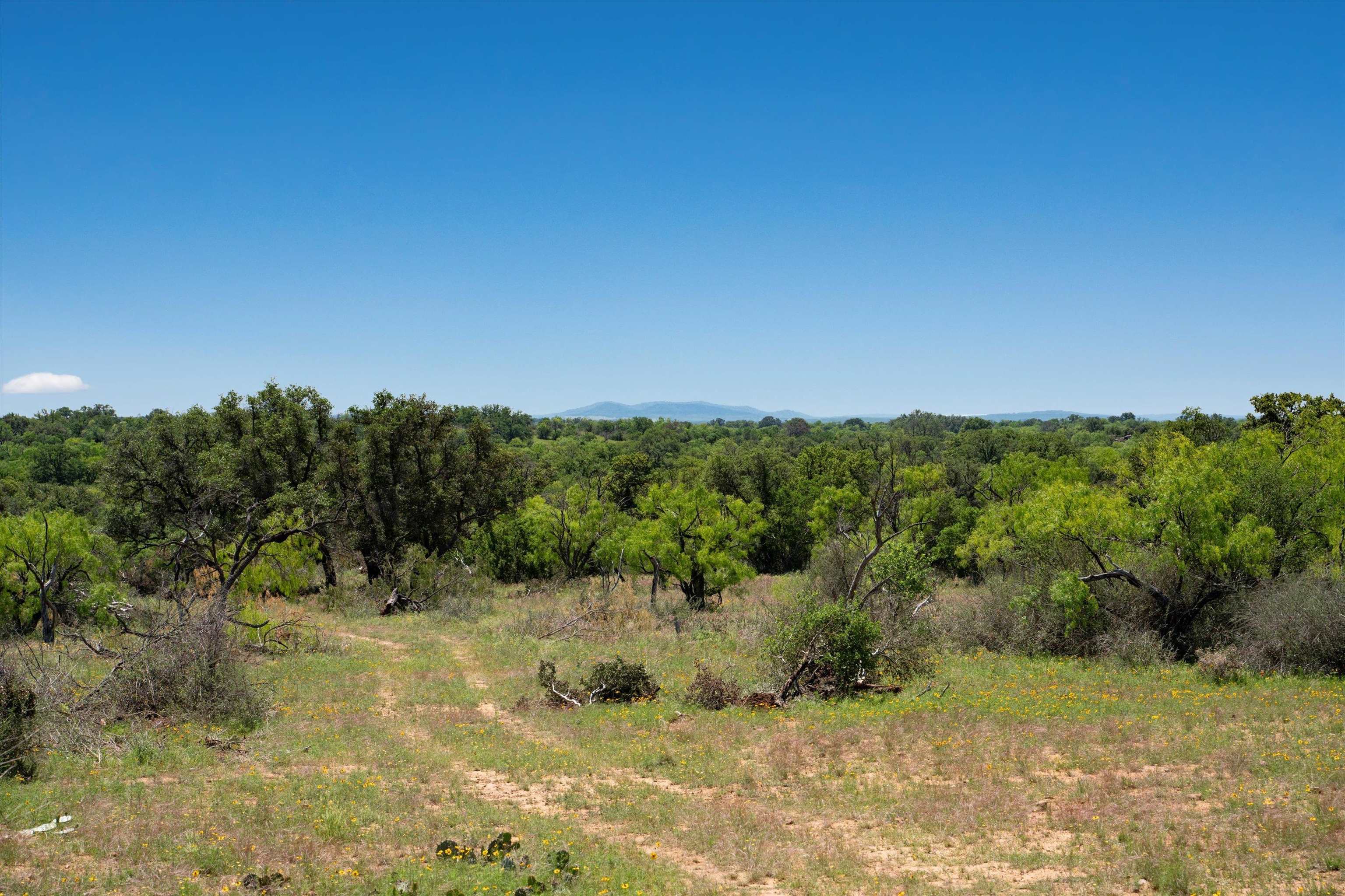 Tbd County Road 106 Property Photo 24