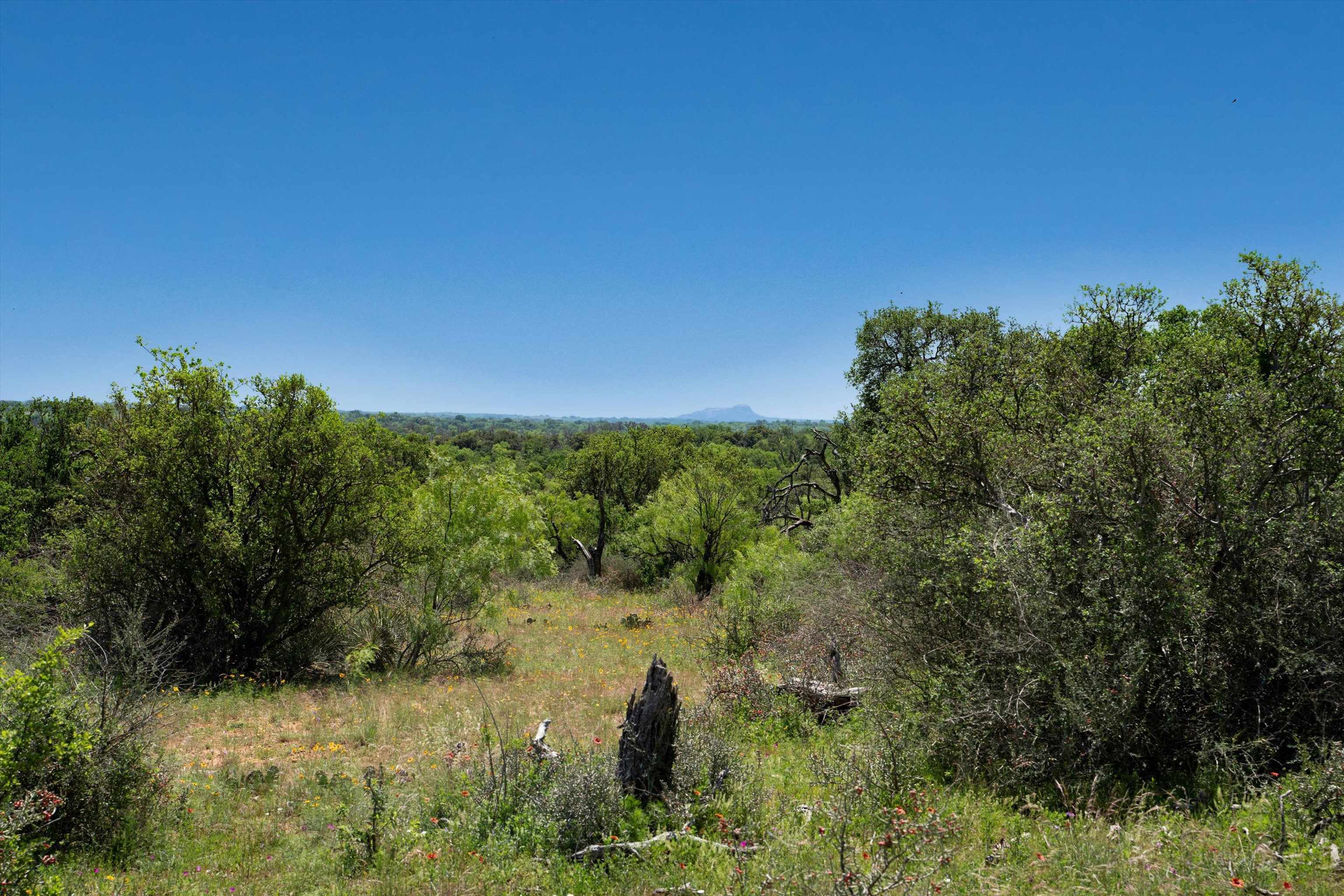 Tbd1 Cr 106 Property Photo 16
