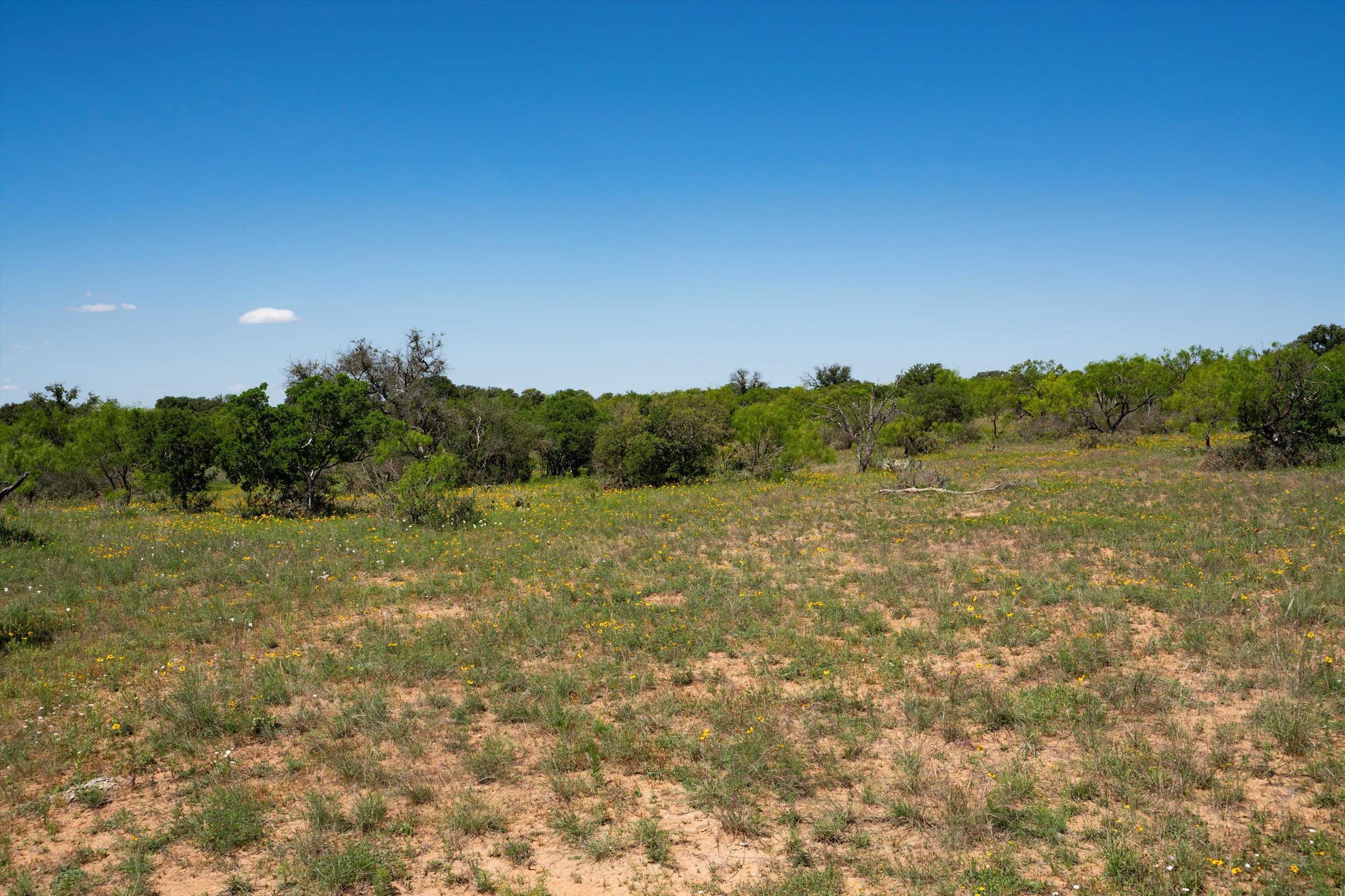 Tbd1 Cr 106 Property Photo 18