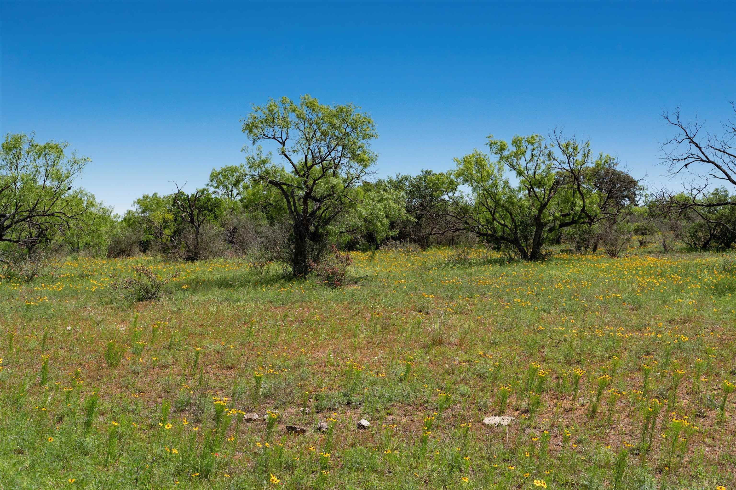 Tbd1 Cr 106 Property Photo 21