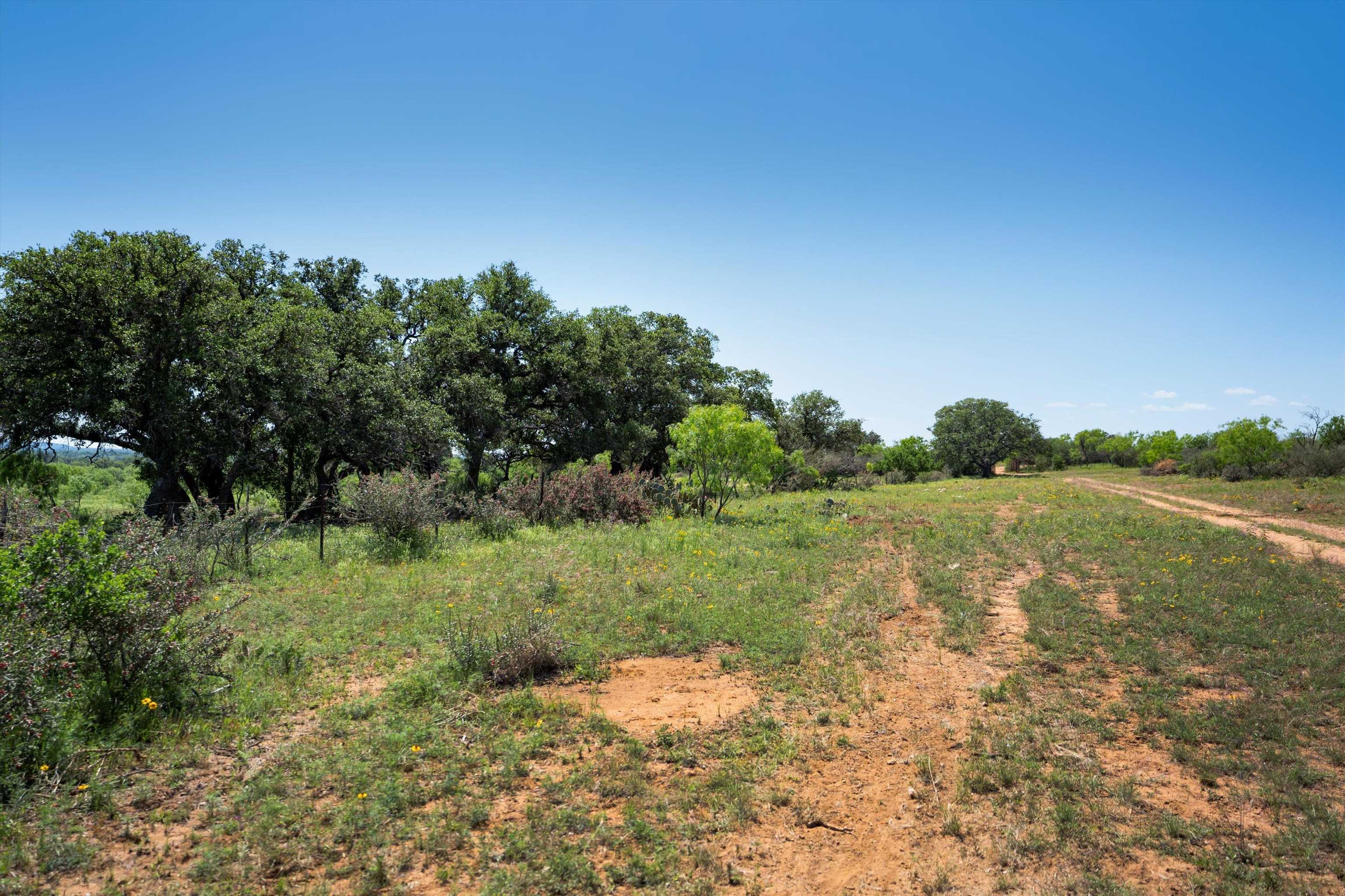 Tbd2 Cr 106 Property Photo 14
