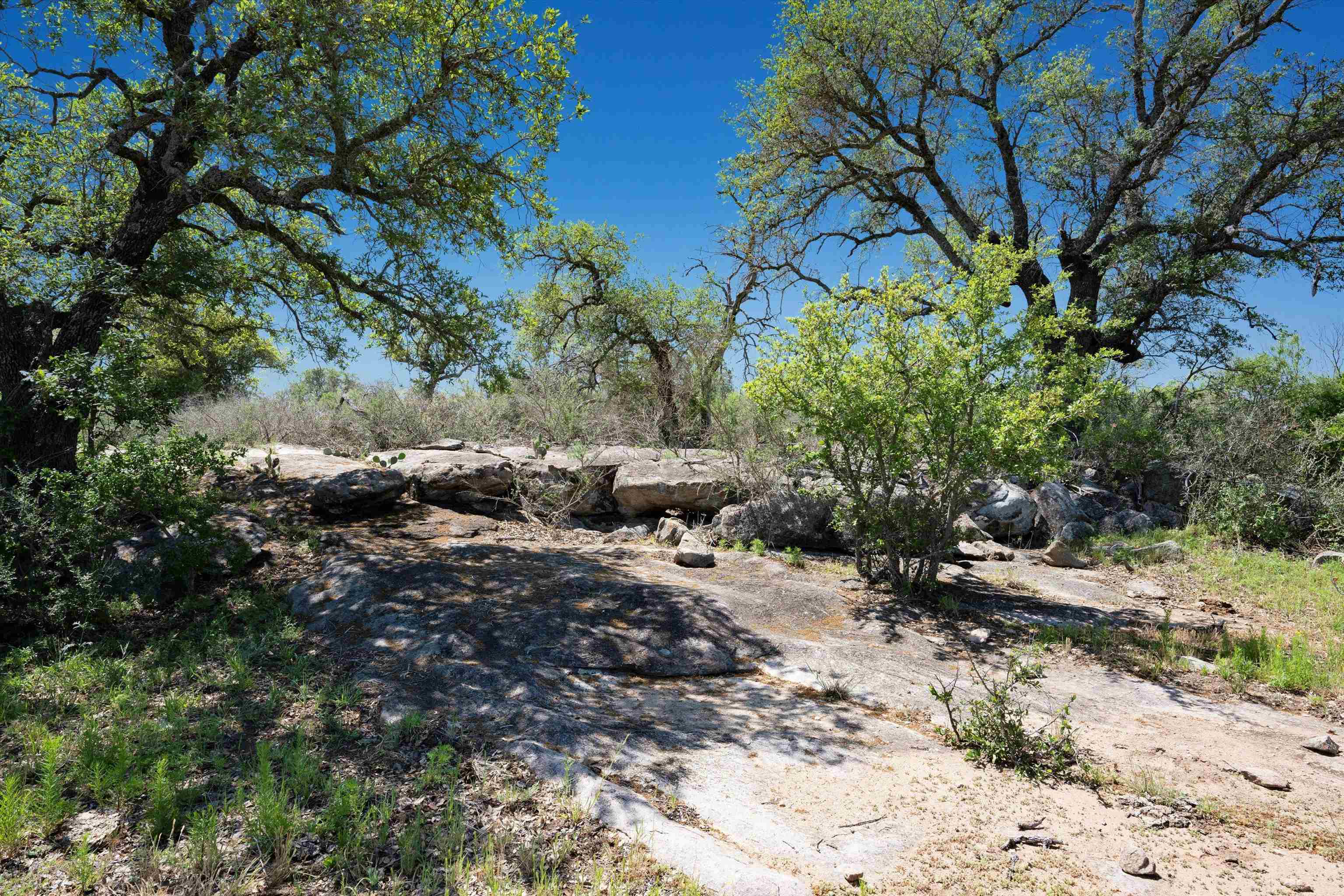 Tbd2 Cr 106 Property Photo 19