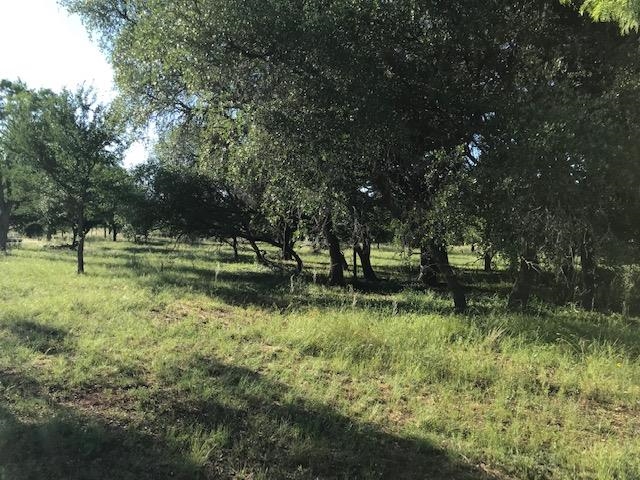 1010 Rr 2831 Property Photo 8