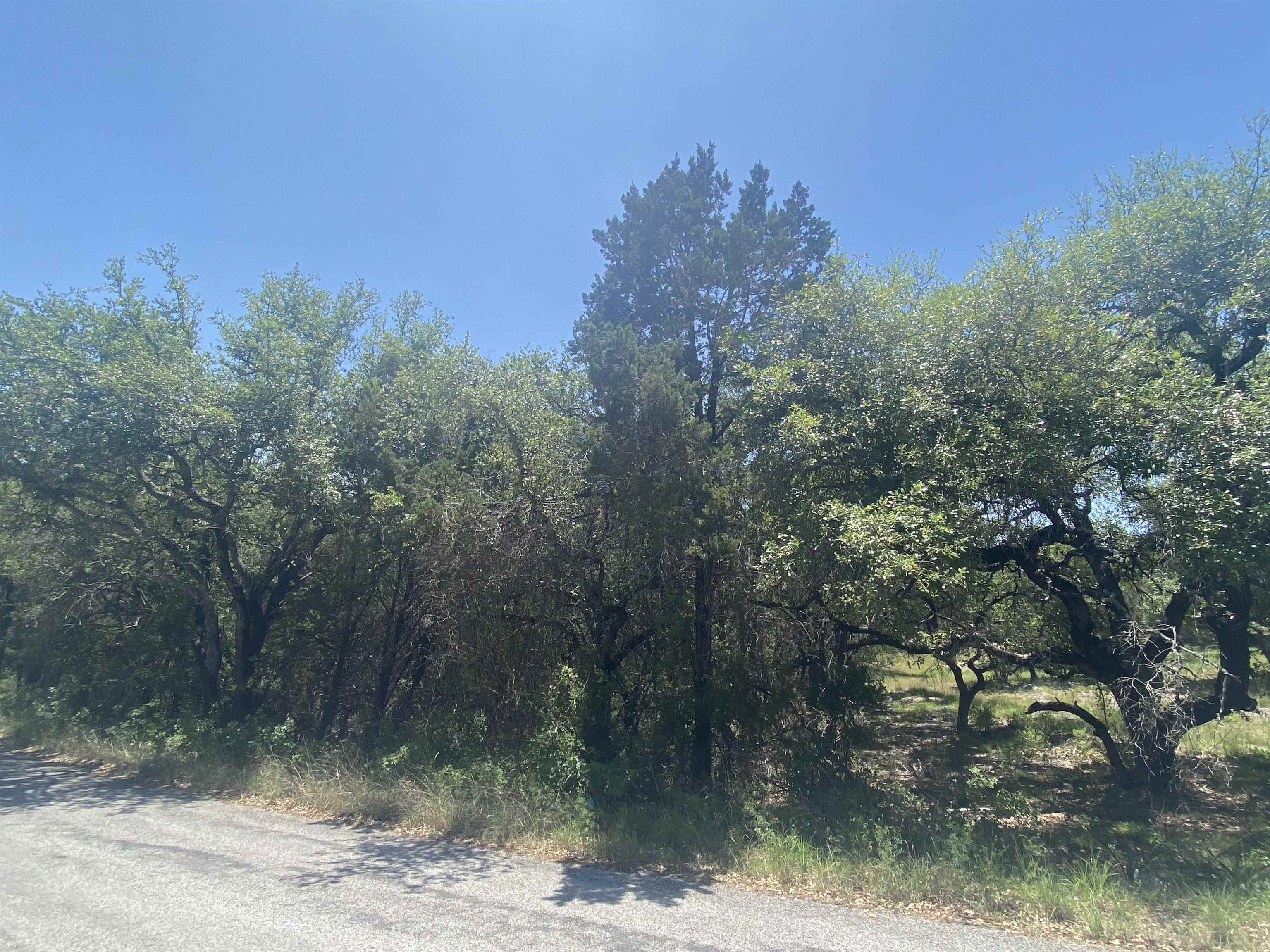 Lot 13108 Mountain Dew (dew Drop) Property Photo 2
