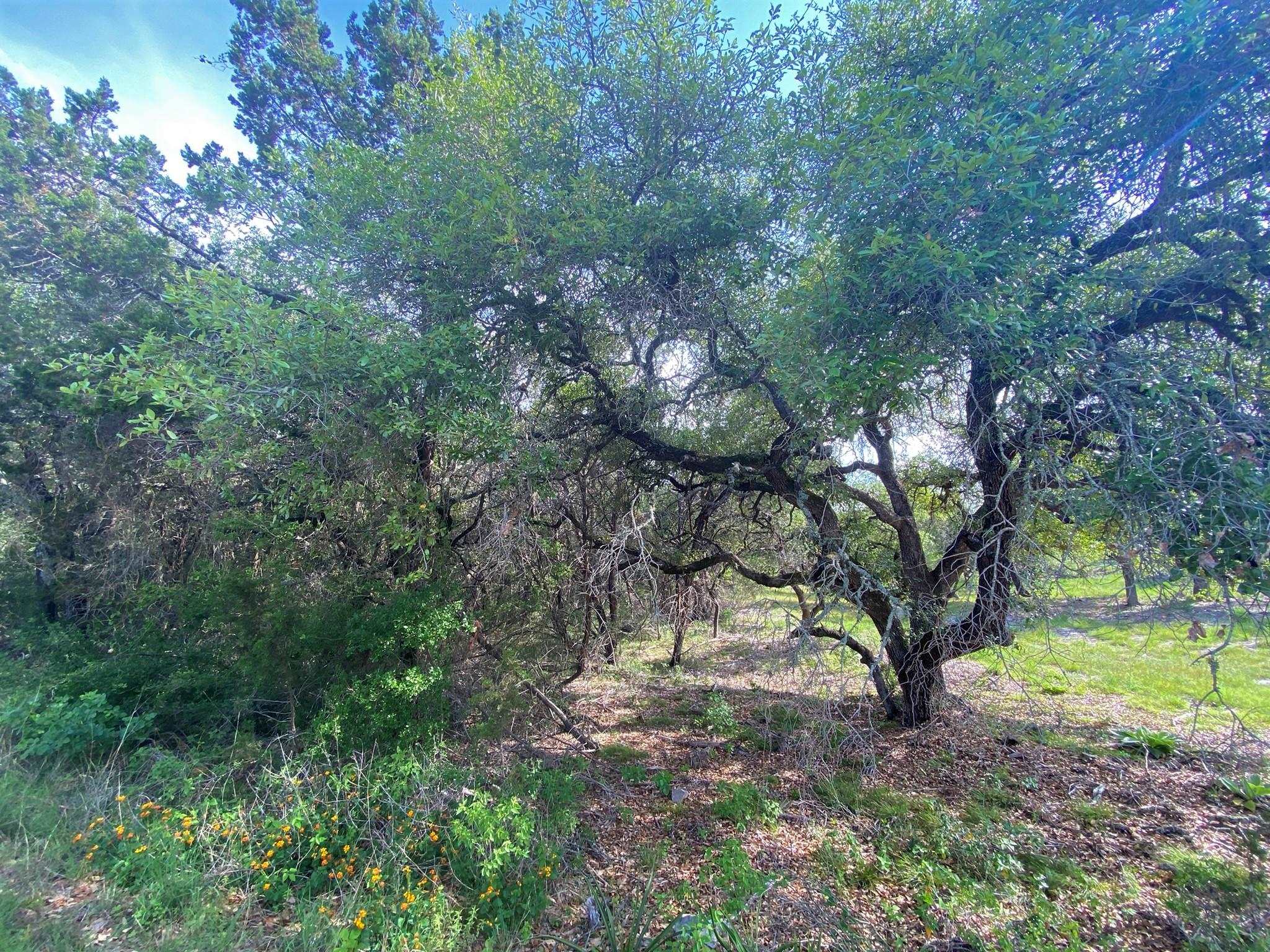 Lot 13108 Mountain Dew (dew Drop) Property Photo 6