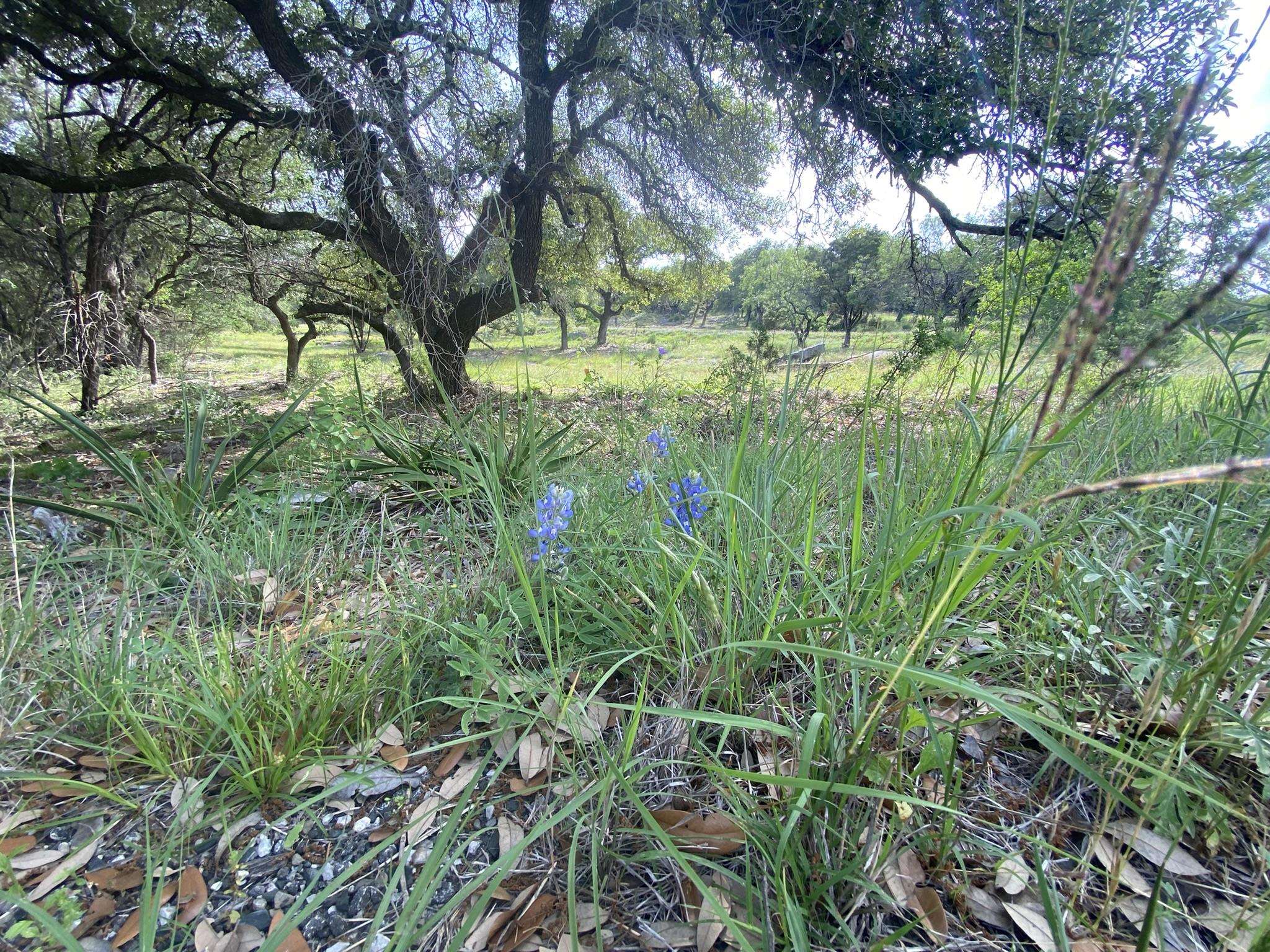 Lot 13108 Mountain Dew (dew Drop) Property Photo 7