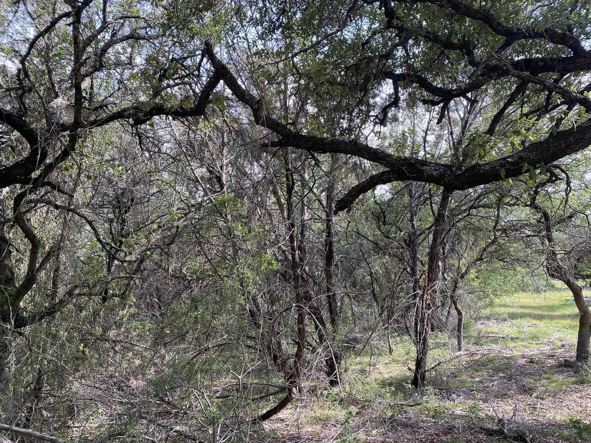 Lot 13108 Mountain Dew (dew Drop) Property Photo 9