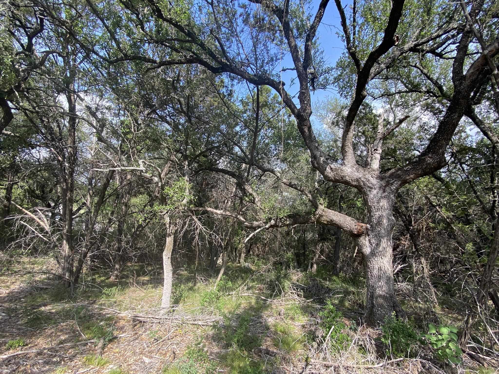 Lot 13108 Mountain Dew (dew Drop) Property Photo 10