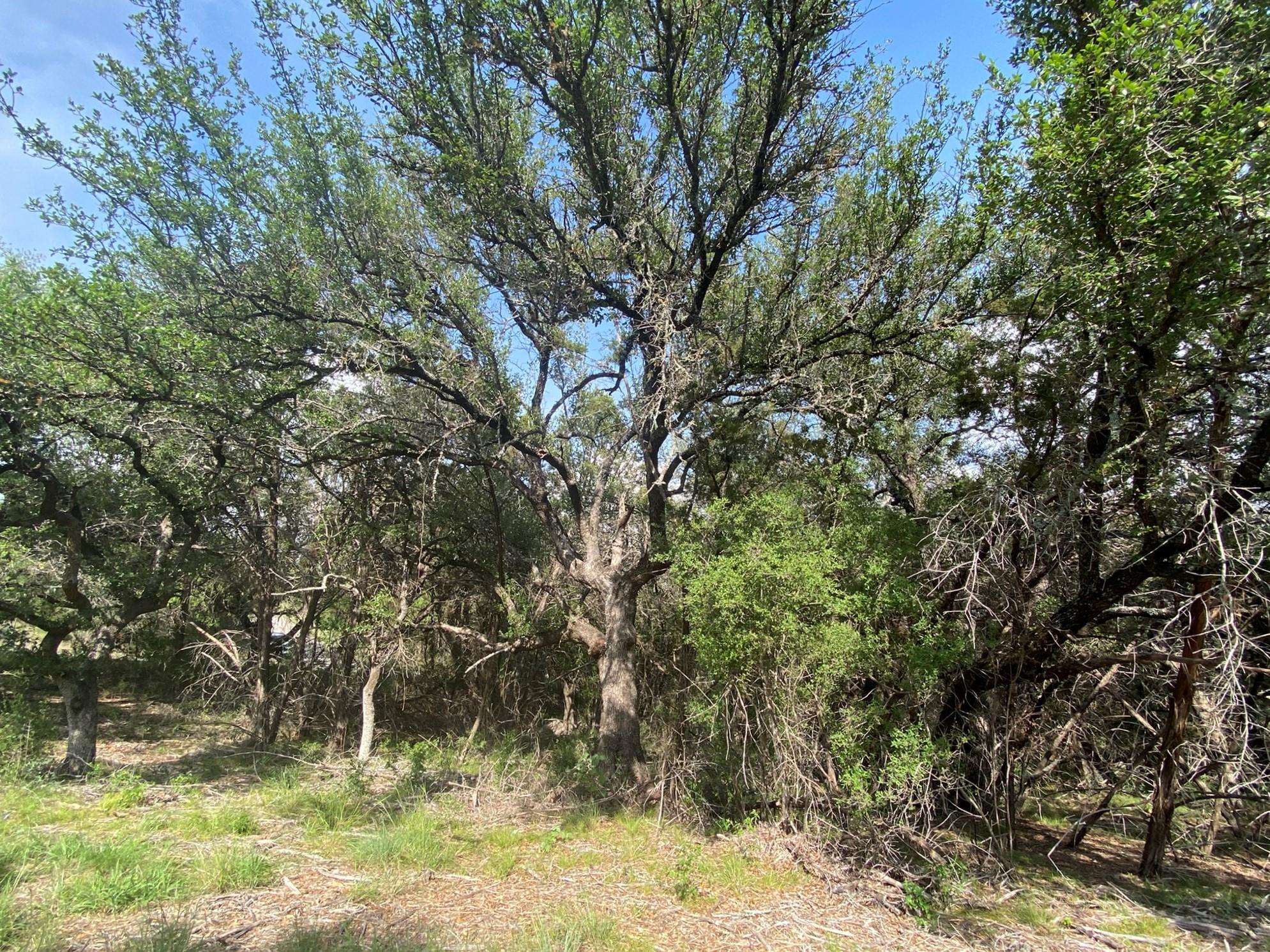 Lot 13108 Mountain Dew (dew Drop) Property Photo 11