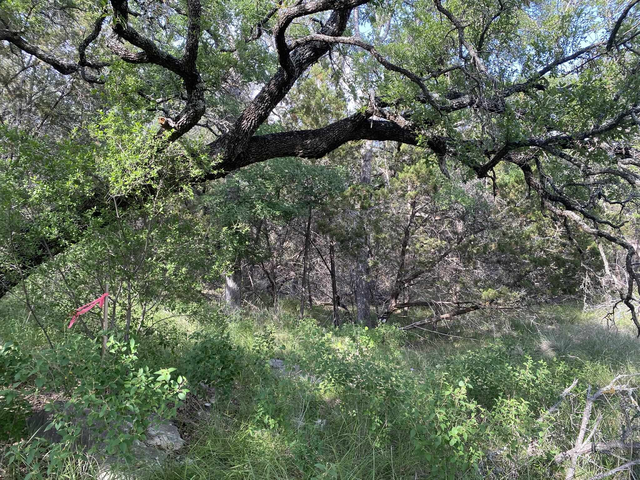 Lot 13108 Mountain Dew (dew Drop) Property Photo 12